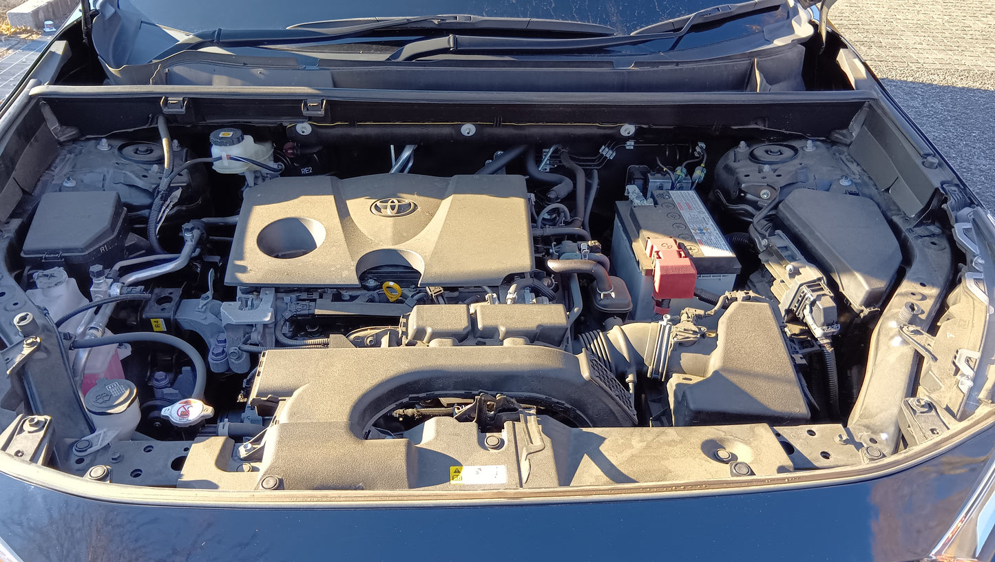 968 TOYOTA RAV4 2020 G