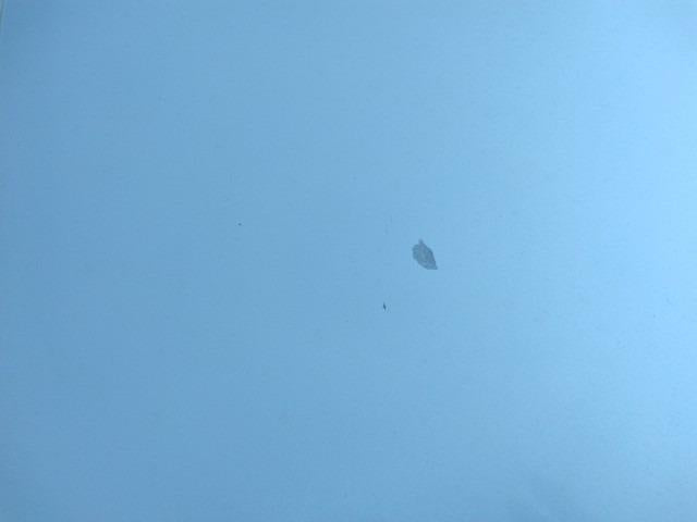 935 TOYOTA HARRIER PREMIUM 2019 / Mileage 88559Km DIRECT SHIPMENT FROM TOYOTA DEALER IN JAPAN