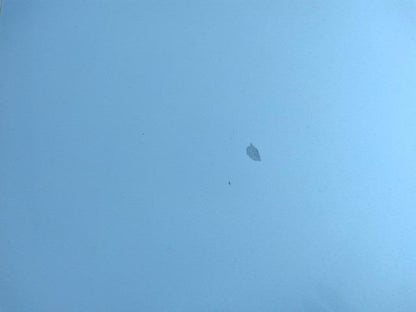 935 TOYOTA HARRIER PREMIUM 2019 / Mileage 88559Km DIRECT SHIPMENT FROM TOYOTA DEALER IN JAPAN