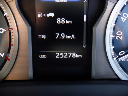 1063 TOYOTA LAND CRUISER PRADO TX 2019 TRJ150-0097803