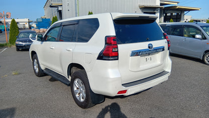 843. TOYOTA  LAND CRUSIER PRADO TX 2020