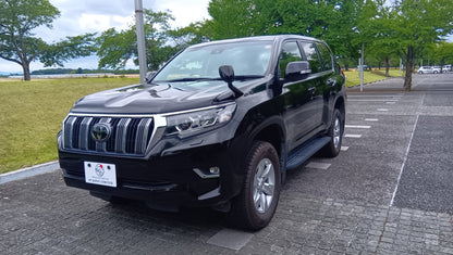1046. TOYOTA LAND CRUISER PRADO TX