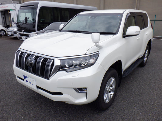 1063 TOYOTA LAND CRUISER PRADO TX 2019 TRJ150-0097803
