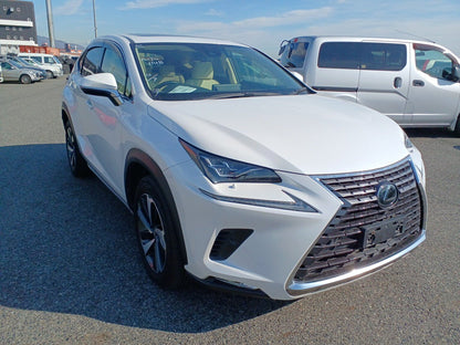 952 LEXUS NX NX300 version L White Leather package2019 / Milage: 48,240 Km