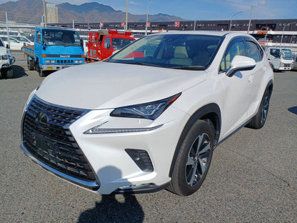 952 LEXUS NX NX300 version L White Leather package2019 / Milage: 48,240 Km