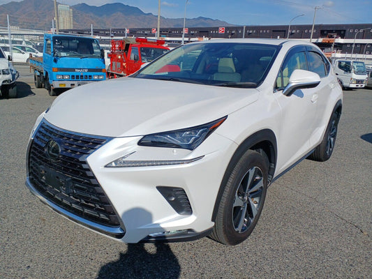 952 LEXUS NX NX300 version L White Leather package2019 / Milage: 48,240 Km