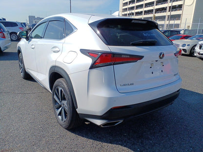 952 LEXUS NX NX300 version L White Leather package2019 / Milage: 48,240 Km