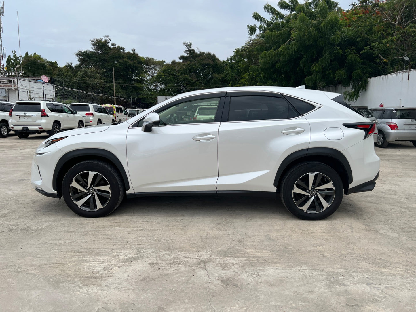 952. LEXUS NX300 late model version L White Leather package2019 / Milage: 48,240 Km