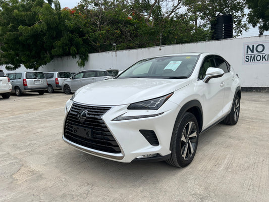 952. LEXUS NX300 late model version L White Leather package2019 / Milage: 48,240 Km
