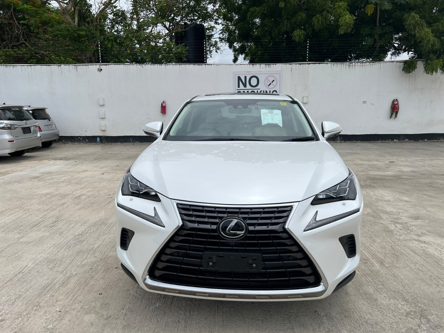 952. LEXUS NX300 late model version L White Leather package2019 / Milage: 48,240 Km