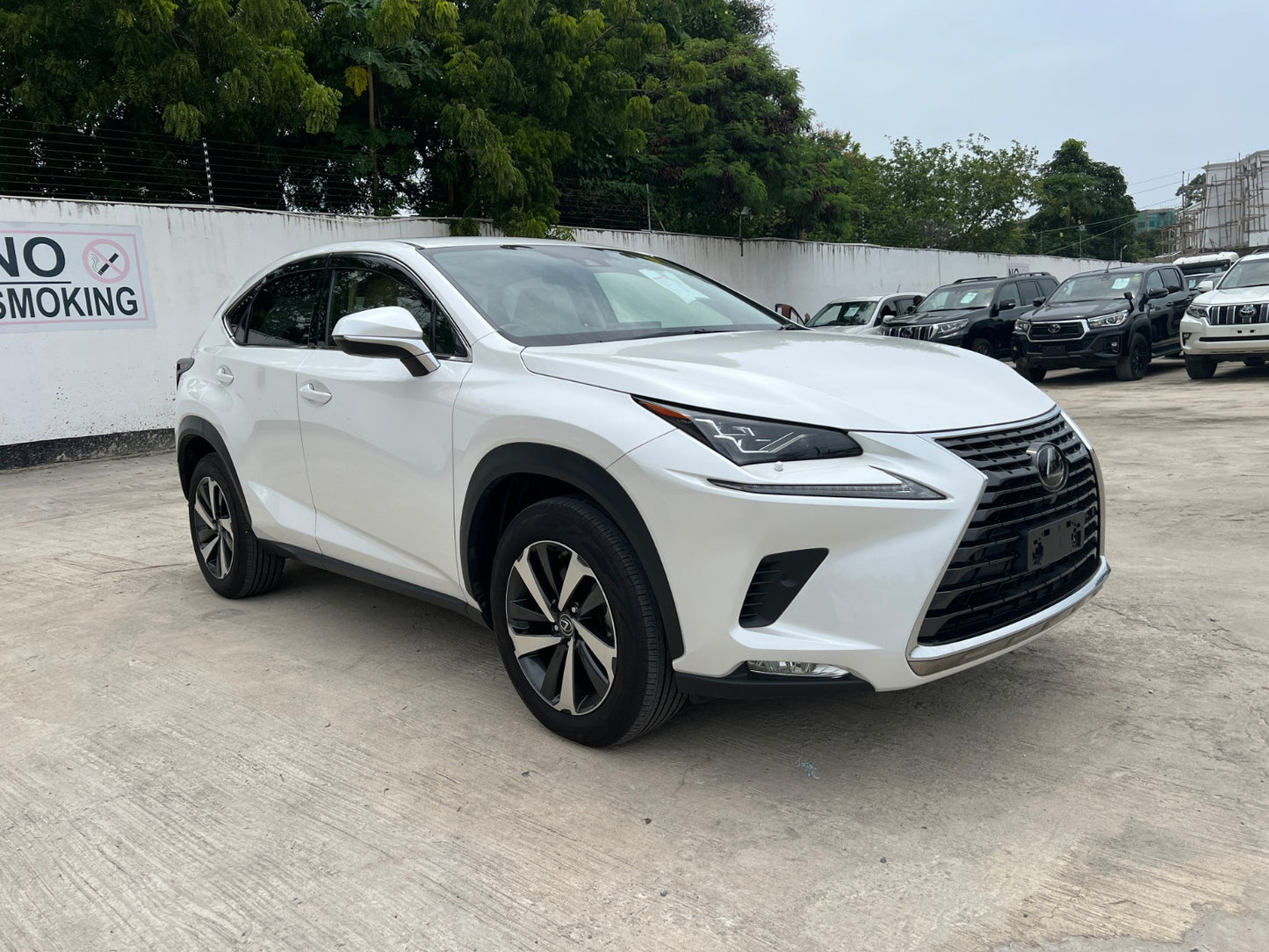 952. LEXUS NX300 late model version L White Leather package2019 / Milage: 48,240 Km