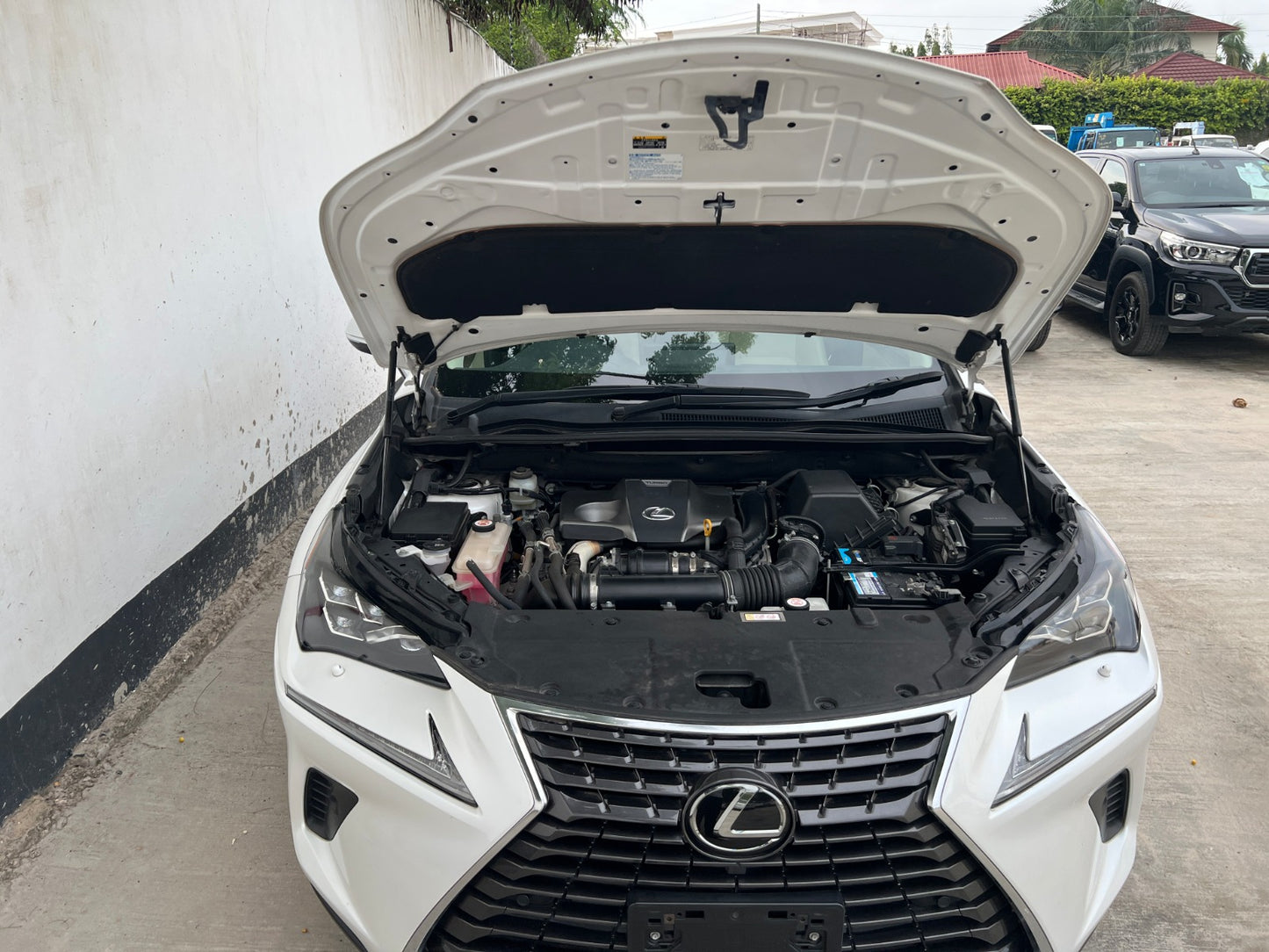952. LEXUS NX300 late model version L White Leather package2019 / Milage: 48,240 Km
